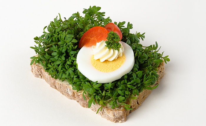 Kresse-Brötchen